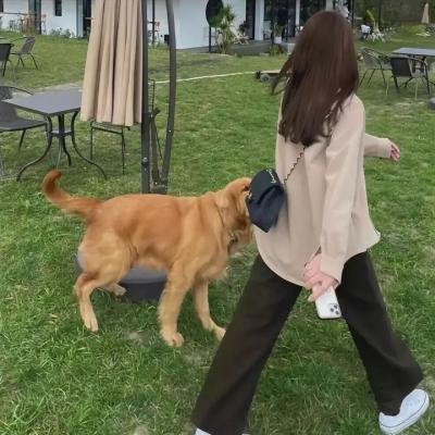 花府小姐要出逃